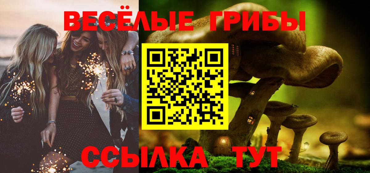 Псилоцибиновые грибы прущие грибы Жуковский